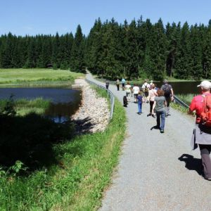 DSCF8584.jpg