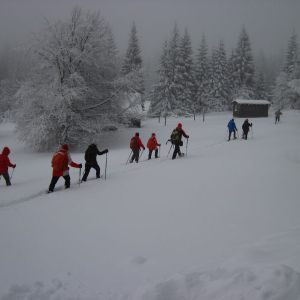 IMG_7452.jpg