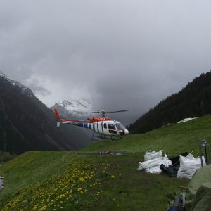 picture-0003.jpg