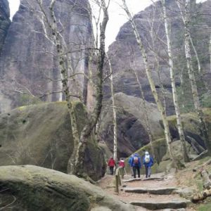 20150328_103407.jpg