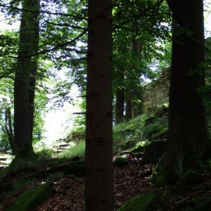 DSCF4764.jpg