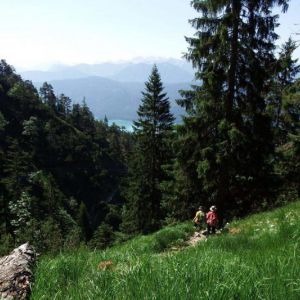 DSCF7315.jpg