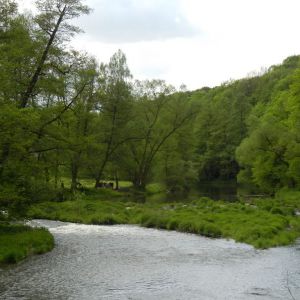 DSCN7561.JPG
