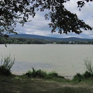 IMG_0651.jpg