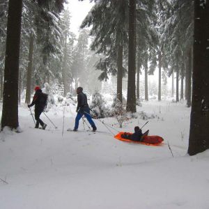 IMG_8593.jpg