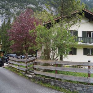 picture-0016.jpg