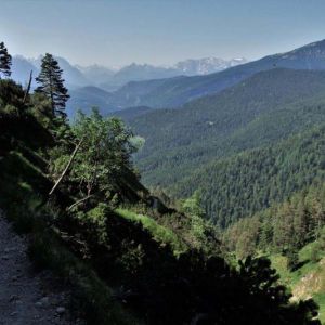 DSCF7334.jpg