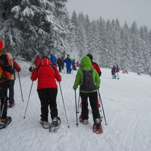 IMG_7400.jpg