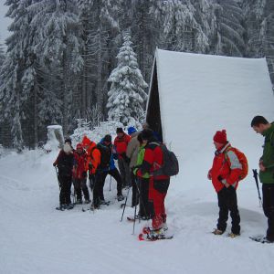 IMG_7419.jpg