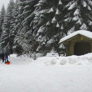 IMG_8598.jpg