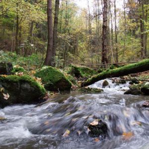 Kleppergrund 29.10 (6).jpg