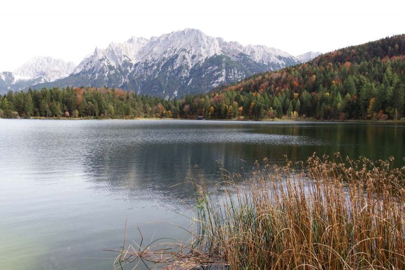 DSCF9849.jpg